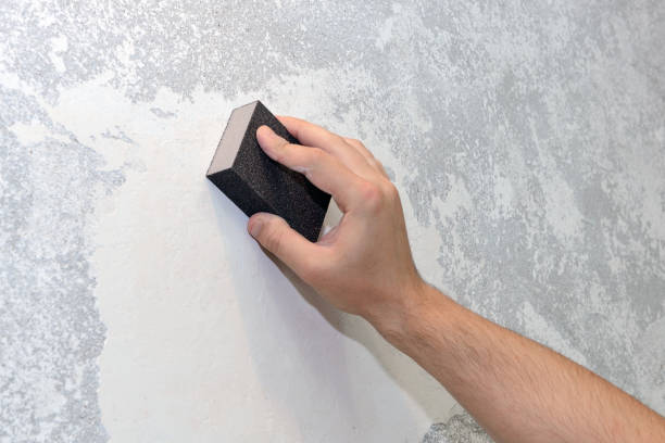 Best Commercial Mold Inspection  in Owenton, KY