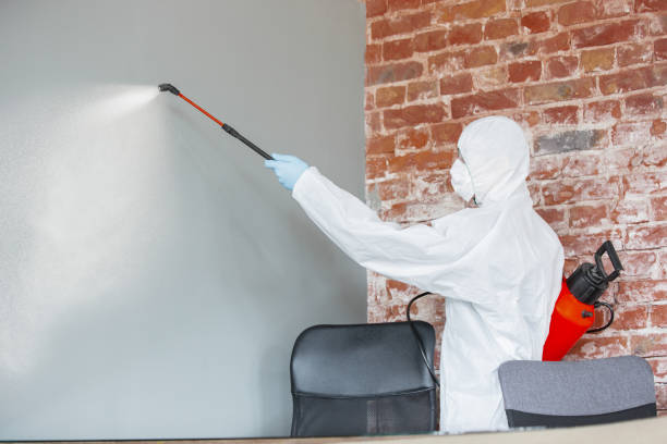 Best Indoor Air Quality Assessment  in Owenton, KY