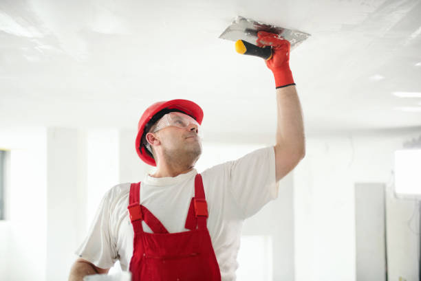 Best Post-Remediation Verification Testing  in Owenton, KY