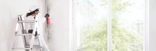 Best Biohazard Mold Removal  in Owenton, KY